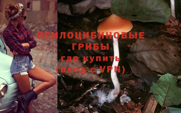 гидропоника Кукмор