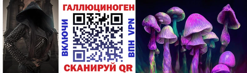 Псилоцибиновые грибы мицелий  Алейск 